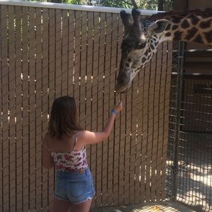 Meet your Posher, Amy